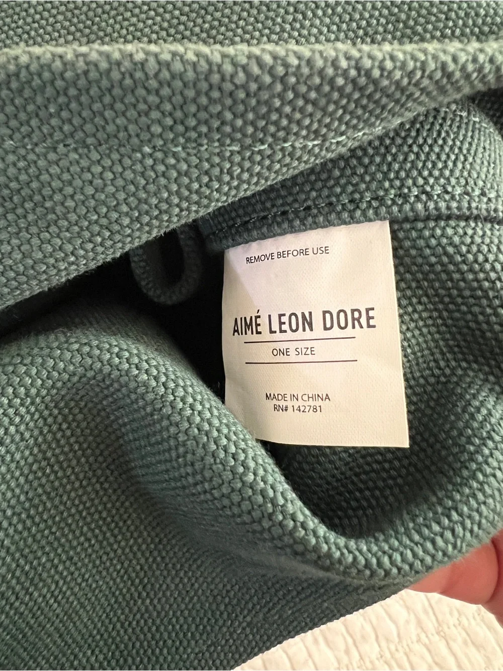 Aime Leon Dore Unisphere Large Tote Bag in Green